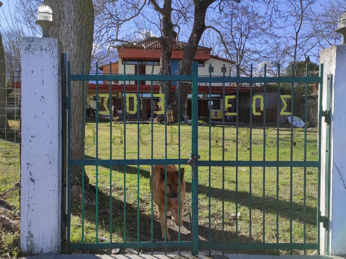 Summit Zero Hostel بلاكا ليتوشورو المظهر الخارجي الصورة